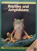 Reptiles and Amphibians